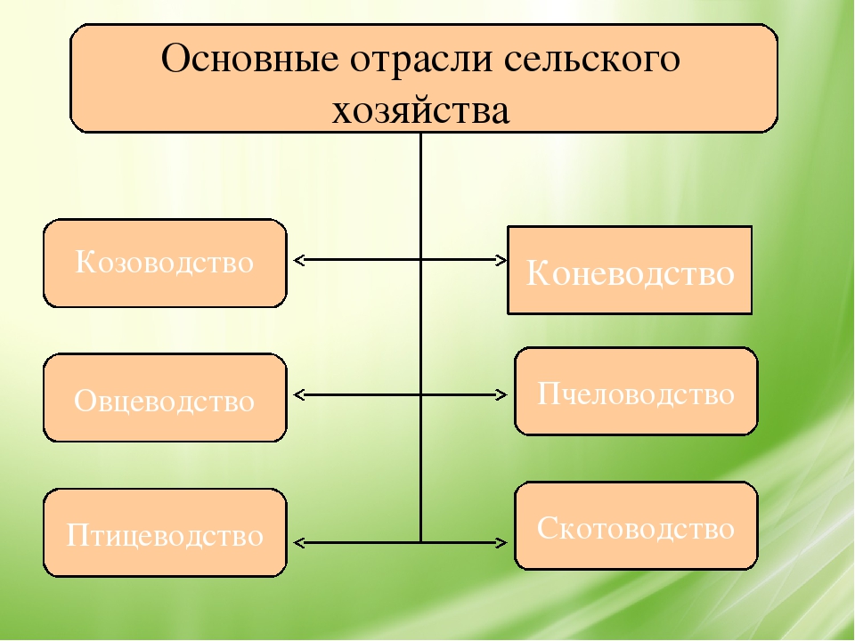 Белгородчина – мой край родной!