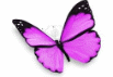 Shape20