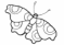 Shape23