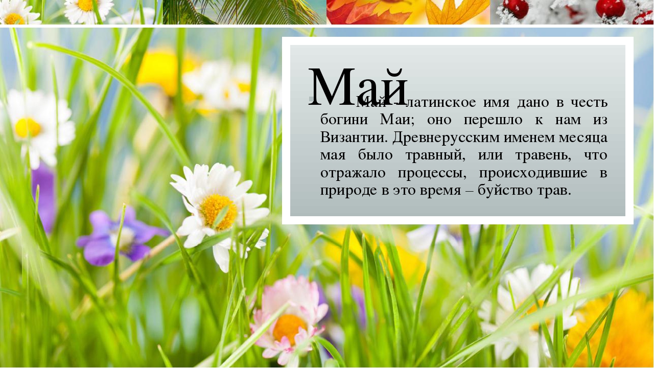 Происхождение названий месяцев в русском языке