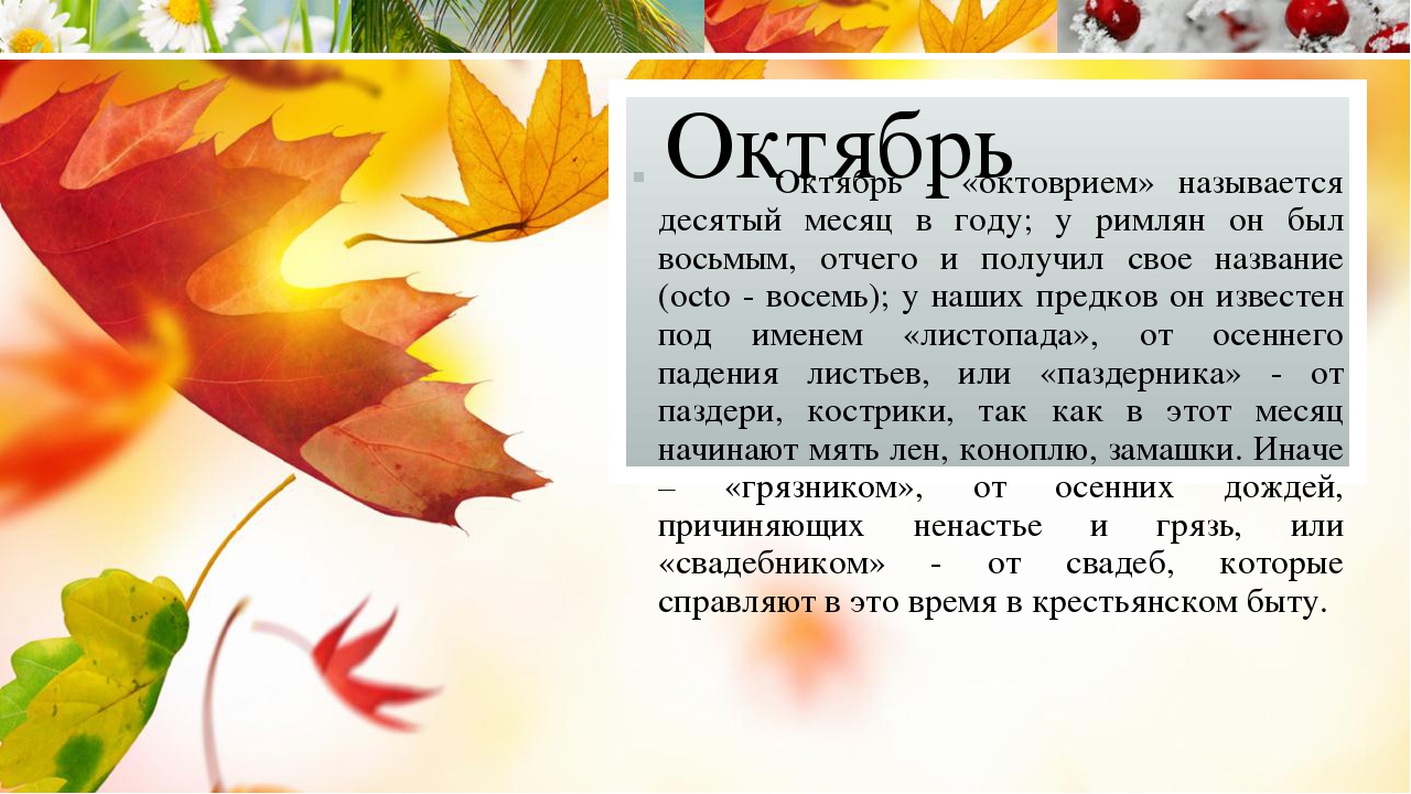 Как называется октябрь. Старинные названия осенних месяцев. Происхождение названий месяцев осени. Октябрь происхождение названия месяца. Происхождение месяца сентябрь.