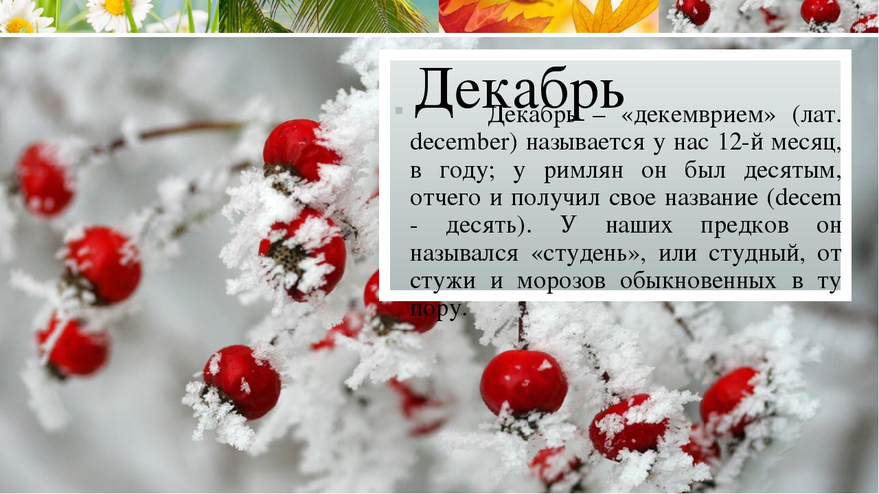 Происхождение названий месяцев в русском языке