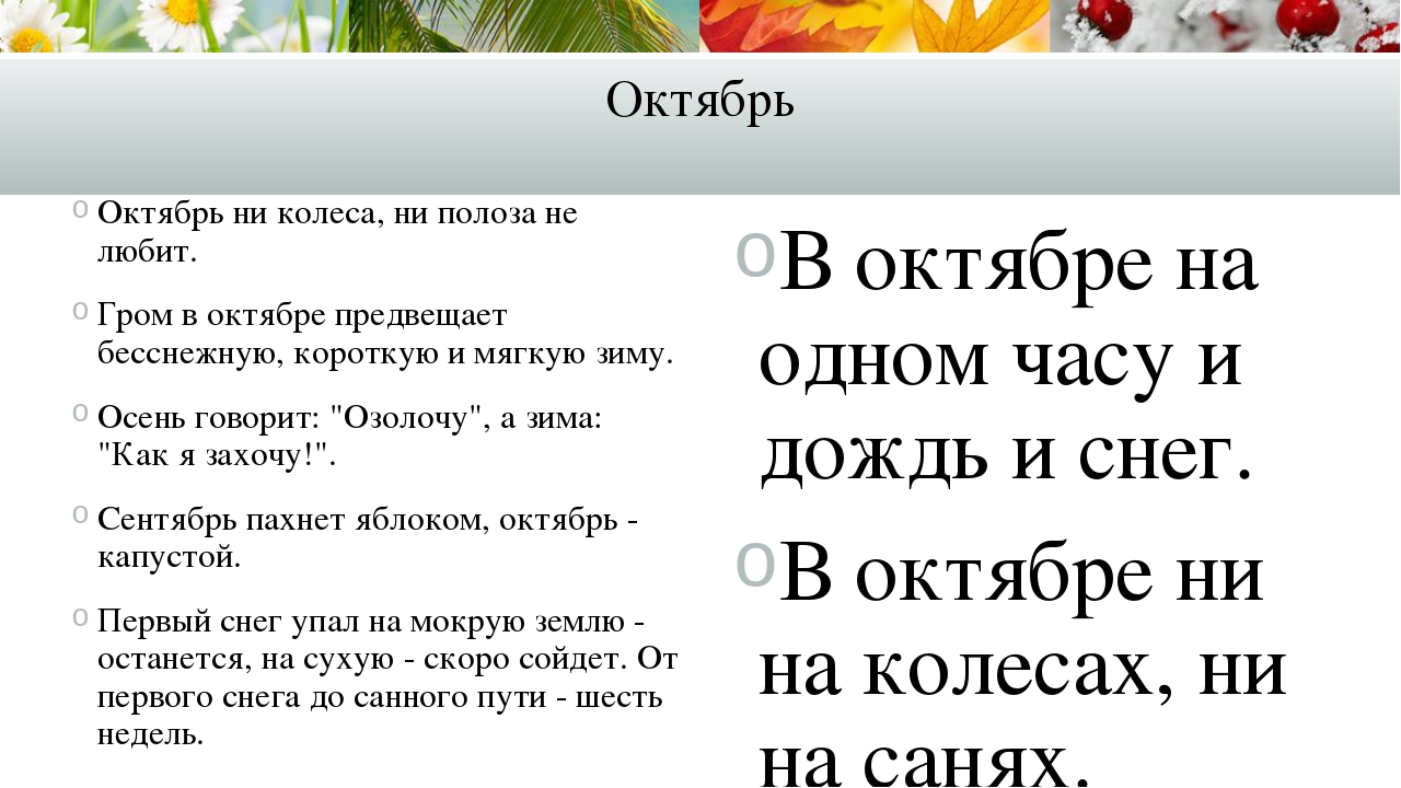 Карта осадков ликино дулево онлайн