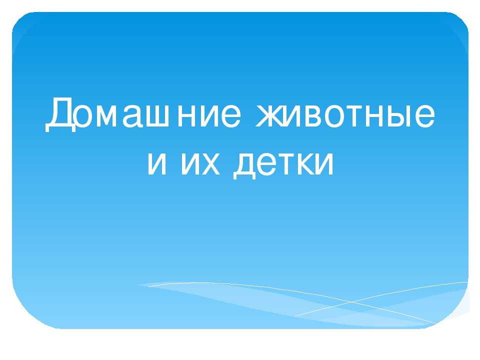 Презентация "Домашние животные и их детки"