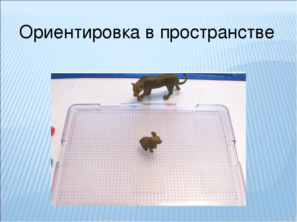 Презентация "Игры с мозаикой"