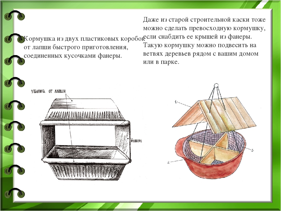 Презентация "Покормите птиц зимой"