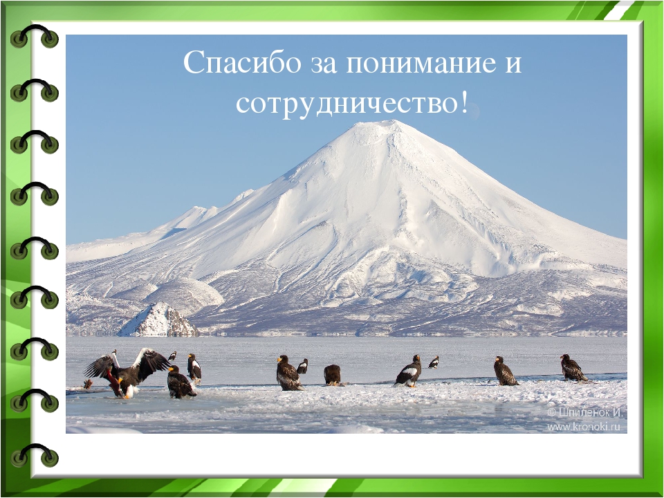 Презентация "Покормите птиц зимой"