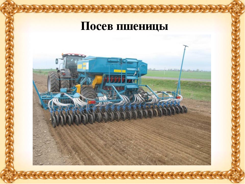 Презентация "Хлеб- всему голова".