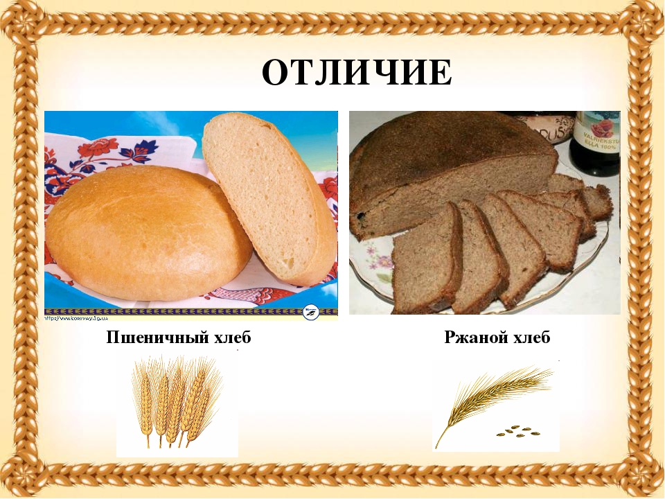 Презентация "Хлеб- всему голова".