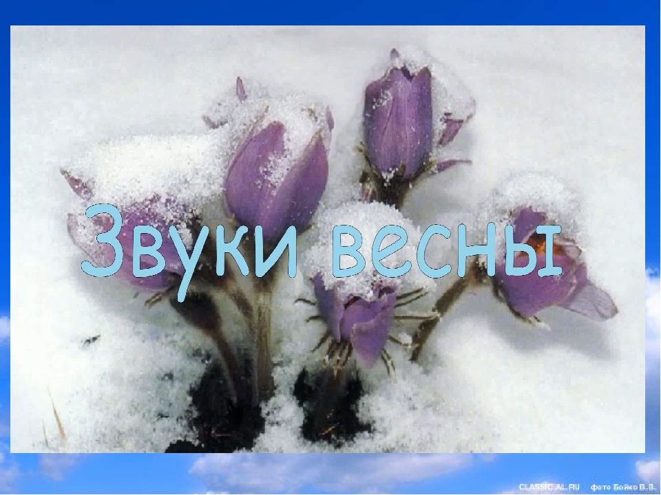 Презентация к занятию в старшей группе "Весна"