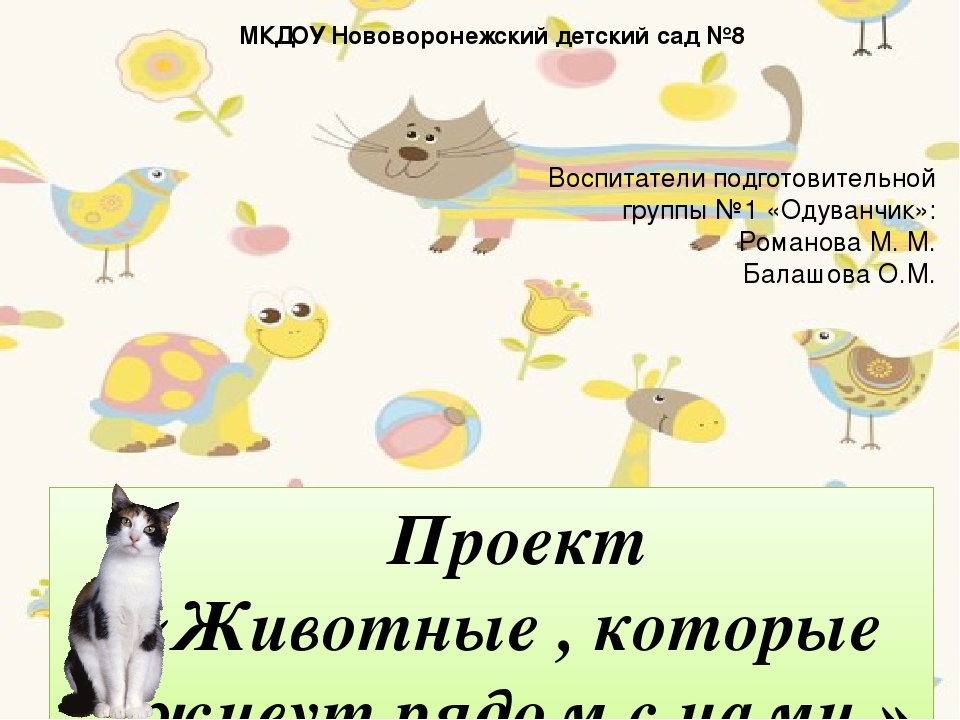 Презентация " Проект в подготовительной группе на тему "Животные, которые живут рядом с нами"