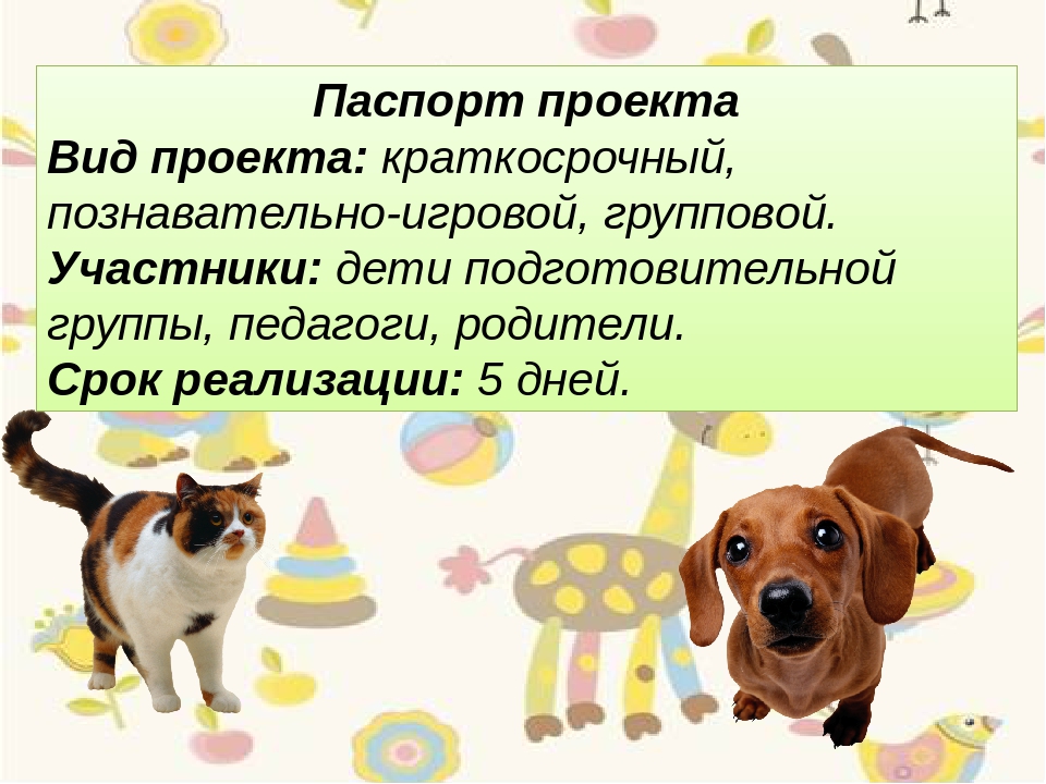 Презентация " Проект в подготовительной группе на тему "Животные, которые живут рядом с нами"