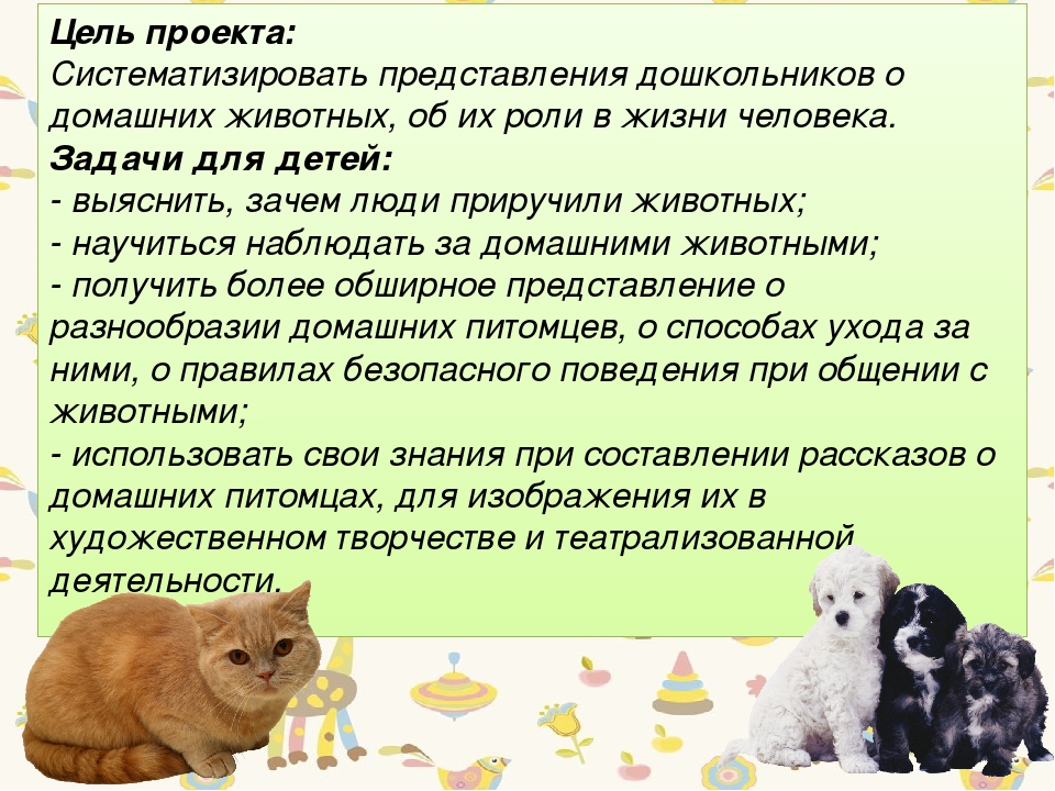 Презентация " Проект в подготовительной группе на тему "Животные, которые живут рядом с нами"