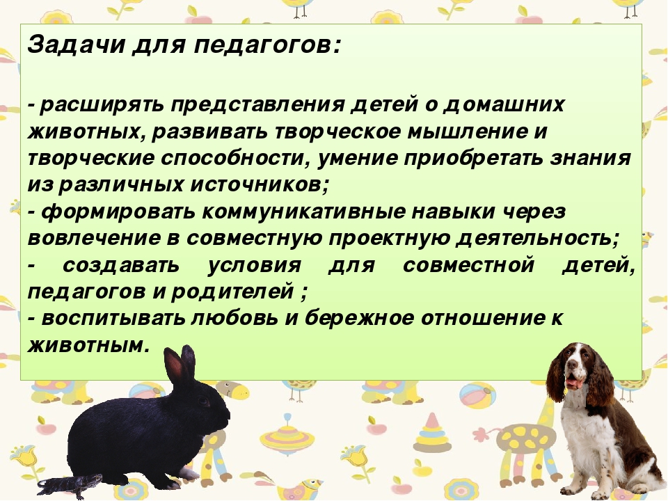 Презентация " Проект в подготовительной группе на тему "Животные, которые живут рядом с нами"