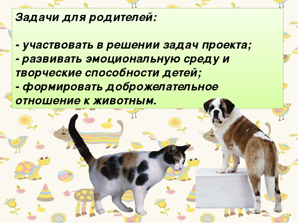 Презентация " Проект в подготовительной группе на тему "Животные, которые живут рядом с нами"