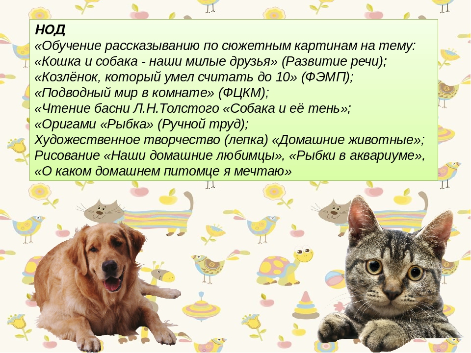 Презентация " Проект в подготовительной группе на тему "Животные, которые живут рядом с нами"