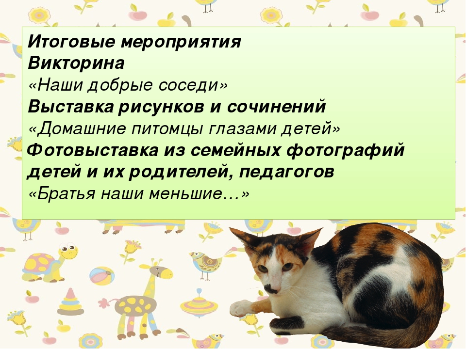 Презентация " Проект в подготовительной группе на тему "Животные, которые живут рядом с нами"