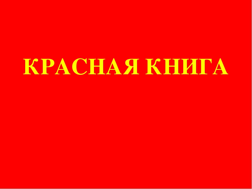 Конспект занятия "Красная книга"