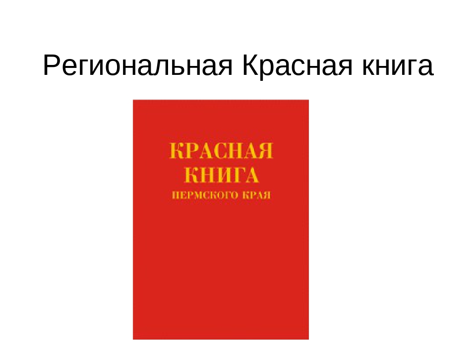 Красные занятия. Красная книга обложка. Красная книга Пермского края. Красная книга Пермского края обложка. Региональная красная книга.