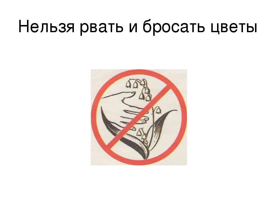Конспект занятия "Красная книга"