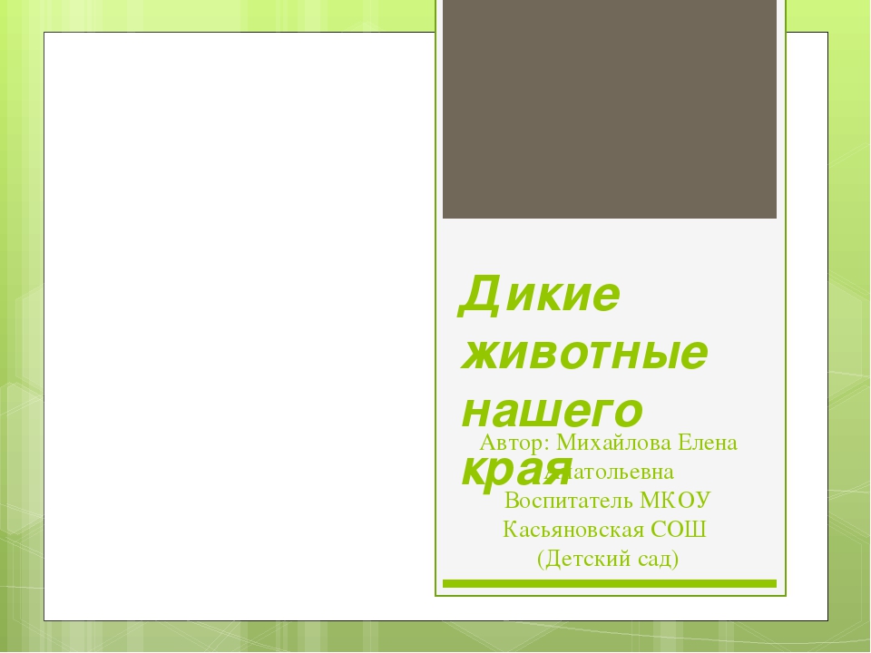 Презентация к занятию "Дикие животные Воронежской области" Автор: Михайлова Елена Анатольевна МКОУ Касьяновская СОШ ( Детский сад)