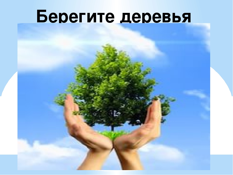Презентация " Земля наш общий дом" Автор: Михайлова Елена Анатольевна Воспитатель МКОУ Касьяновская СОШ (Детский сад)