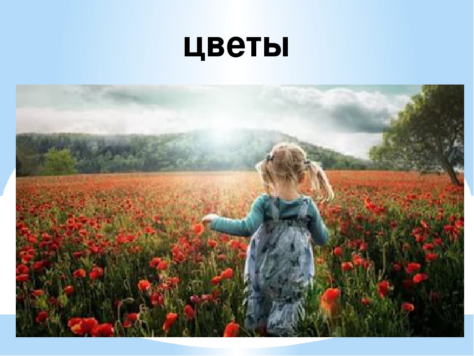 Презентация " Земля наш общий дом" Автор: Михайлова Елена Анатольевна Воспитатель МКОУ Касьяновская СОШ (Детский сад)