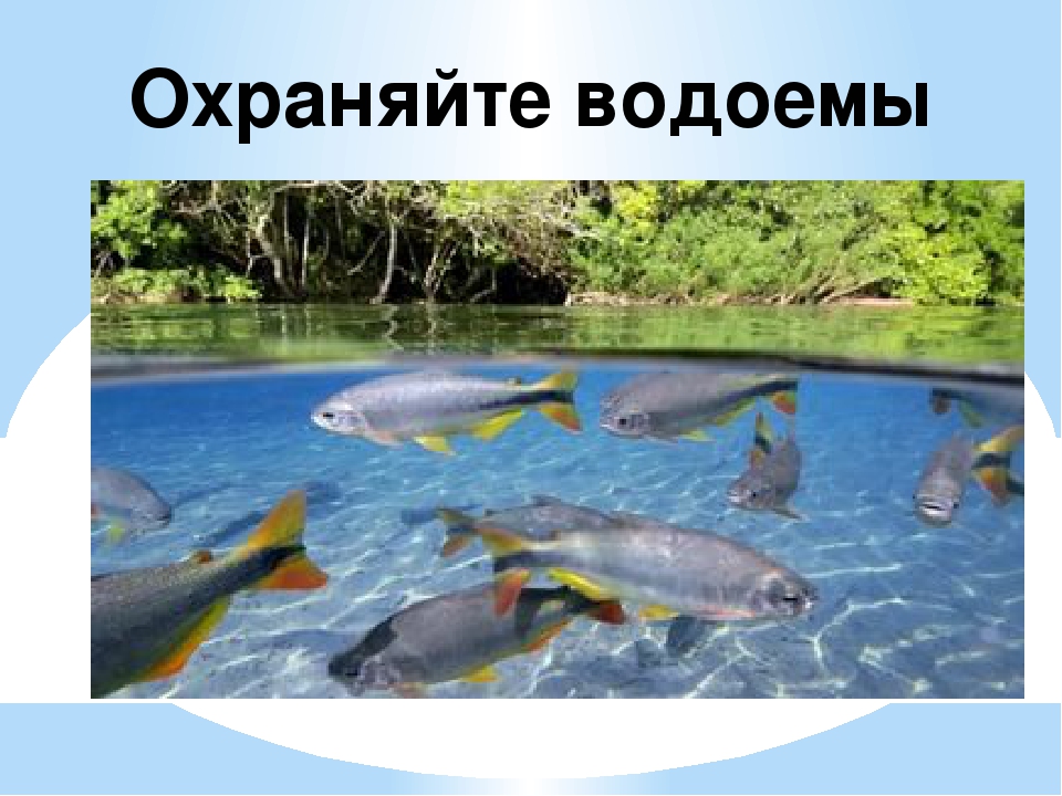 Презентация " Земля наш общий дом" Автор: Михайлова Елена Анатольевна Воспитатель МКОУ Касьяновская СОШ (Детский сад)