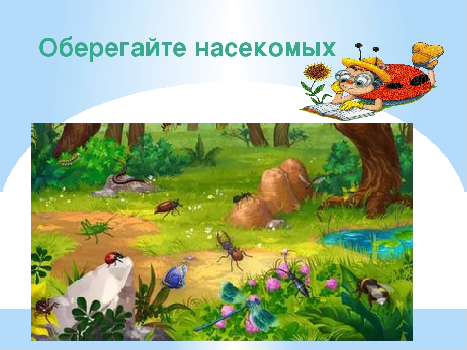 Презентация " Земля наш общий дом" Автор: Михайлова Елена Анатольевна Воспитатель МКОУ Касьяновская СОШ (Детский сад)
