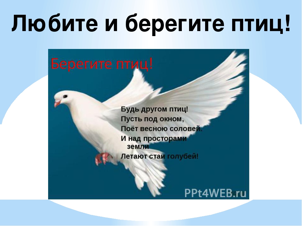 Презентация " Земля наш общий дом" Автор: Михайлова Елена Анатольевна Воспитатель МКОУ Касьяновская СОШ (Детский сад)