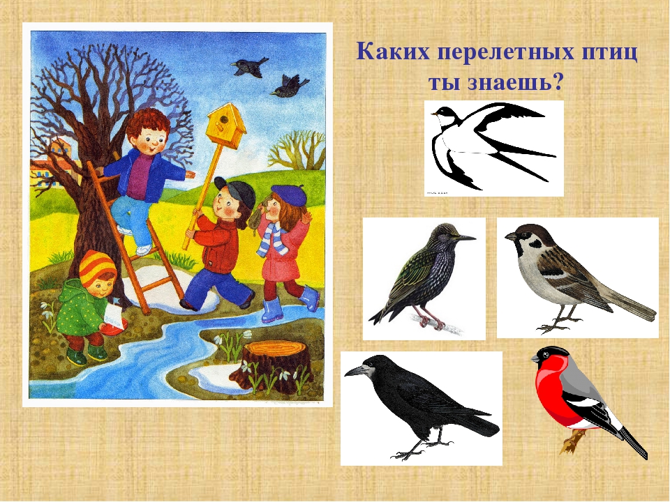 Мультимедийная игра для детей среднего возраста