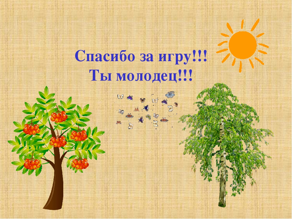 Мультимедийная игра для детей среднего возраста