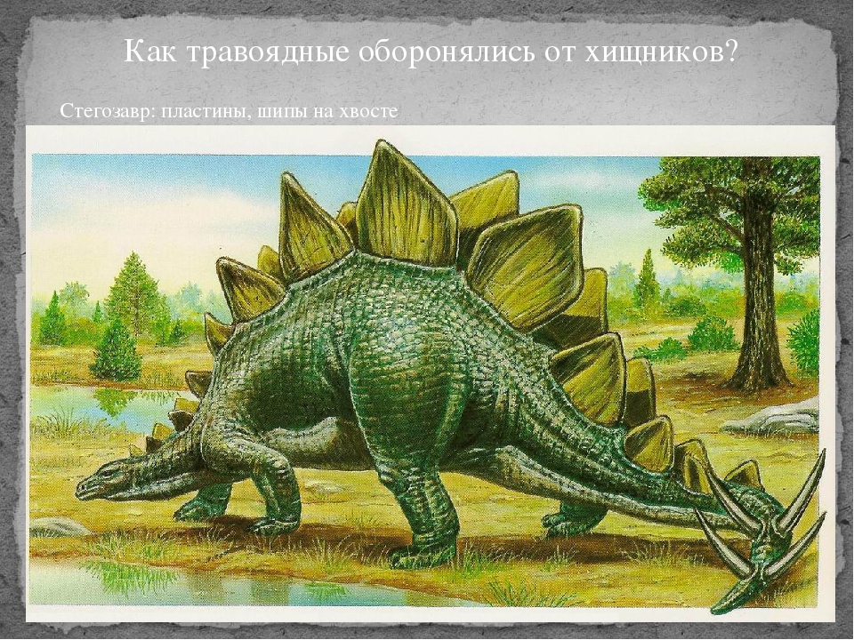 Призентация к исследовательскому проекту" Моя история о динозаврах"