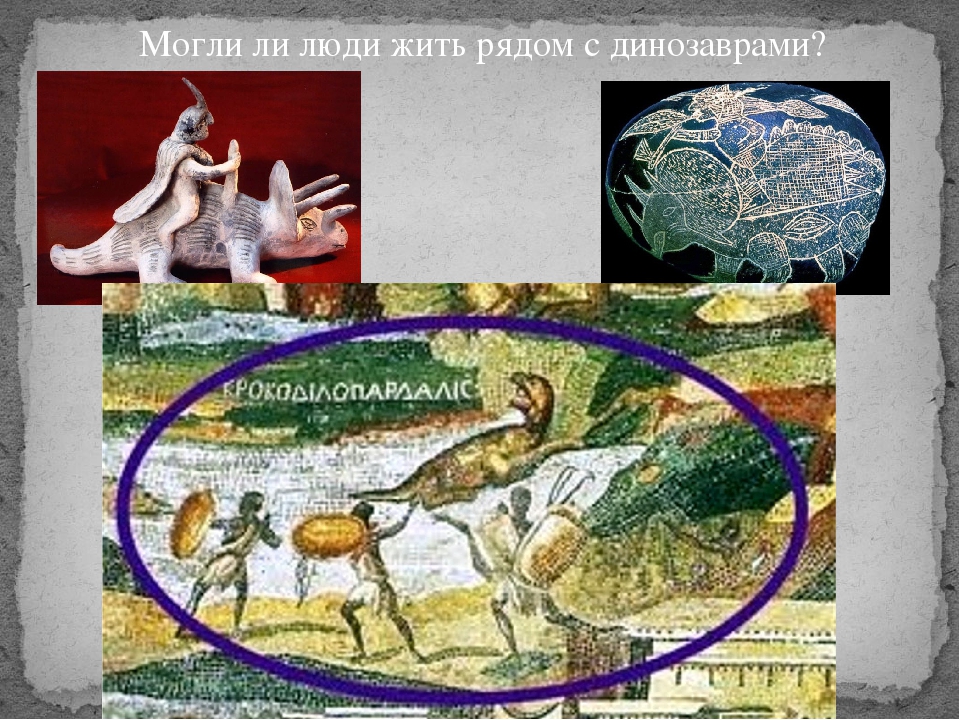 Призентация к исследовательскому проекту" Моя история о динозаврах"