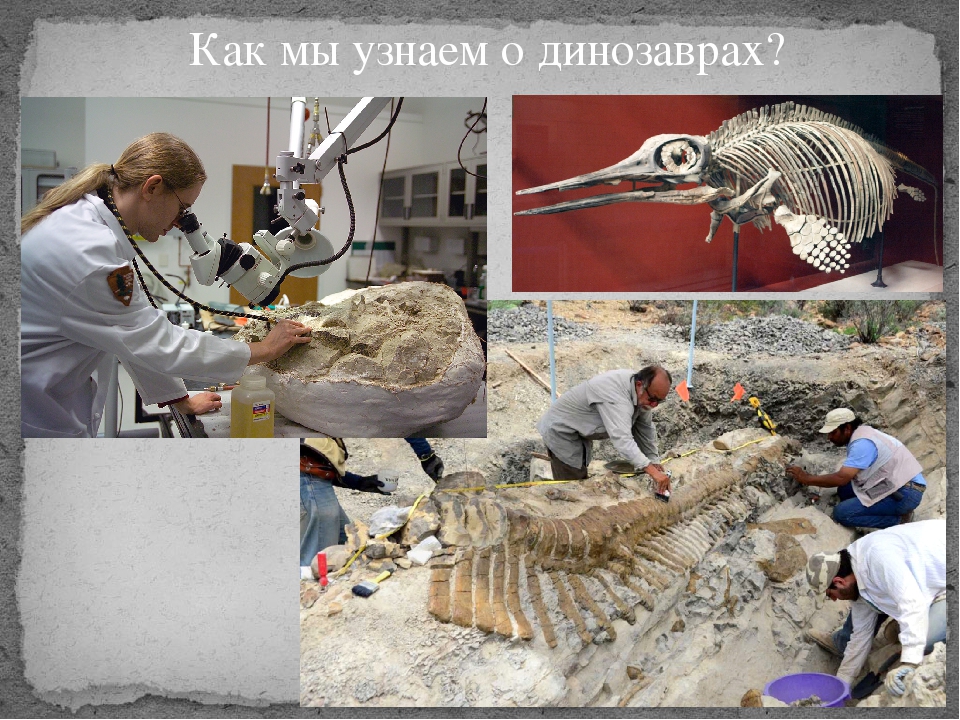Призентация к исследовательскому проекту" Моя история о динозаврах"