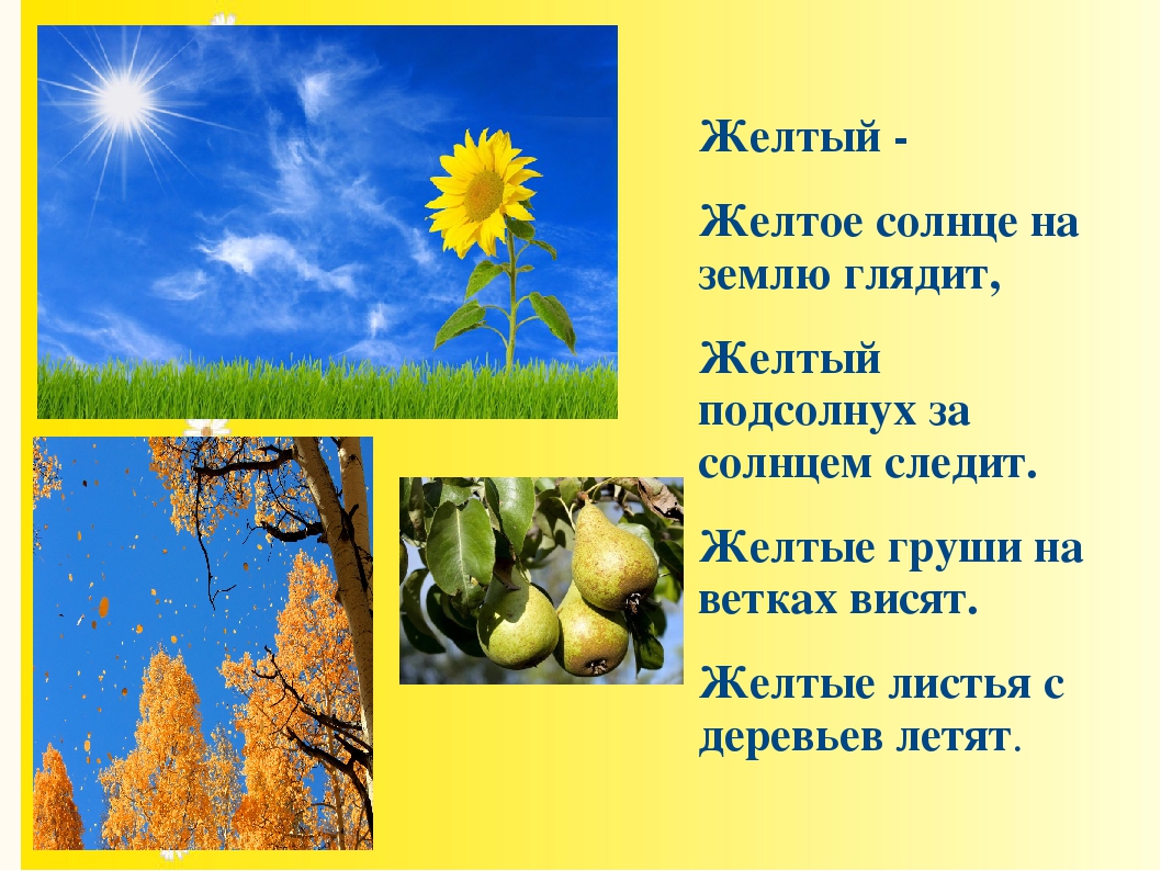 Презентация "Советы родителям и педагогам «Как помочь ребёнку выучить цвета»