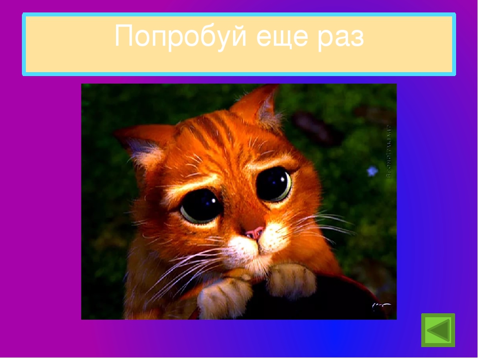 Тест для детей 5-6 лет