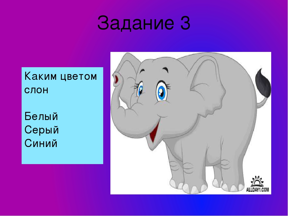 Тест для детей 5-6 лет