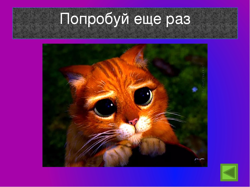 Тест для детей 5-6 лет