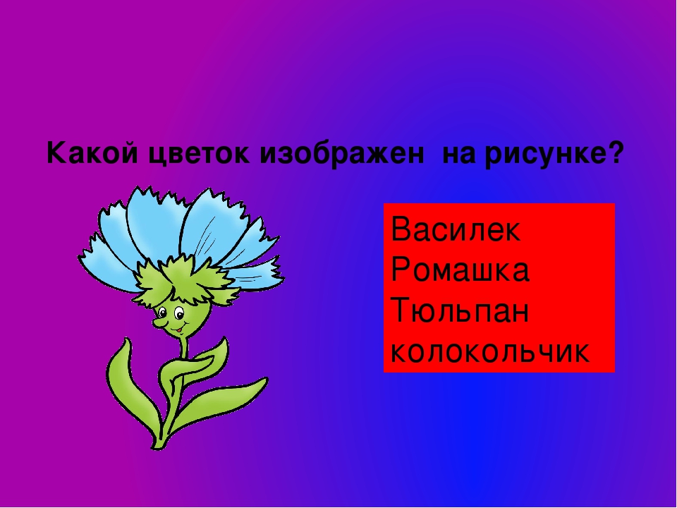 Тест для детей 5-6 лет