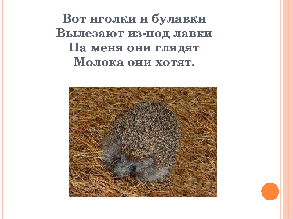Презентация к игре "Кто это" на тему "Дикие животные"