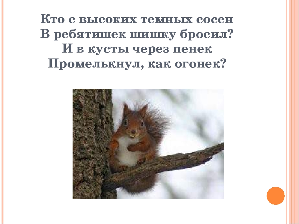 Презентация к игре "Кто это" на тему "Дикие животные"