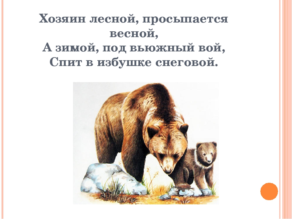 Презентация к игре "Кто это" на тему "Дикие животные"