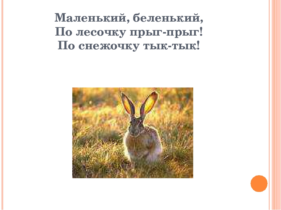 Презентация к игре "Кто это" на тему "Дикие животные"