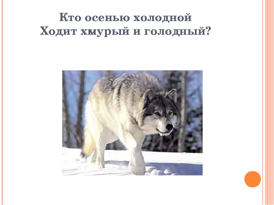 Презентация к игре "Кто это" на тему "Дикие животные"