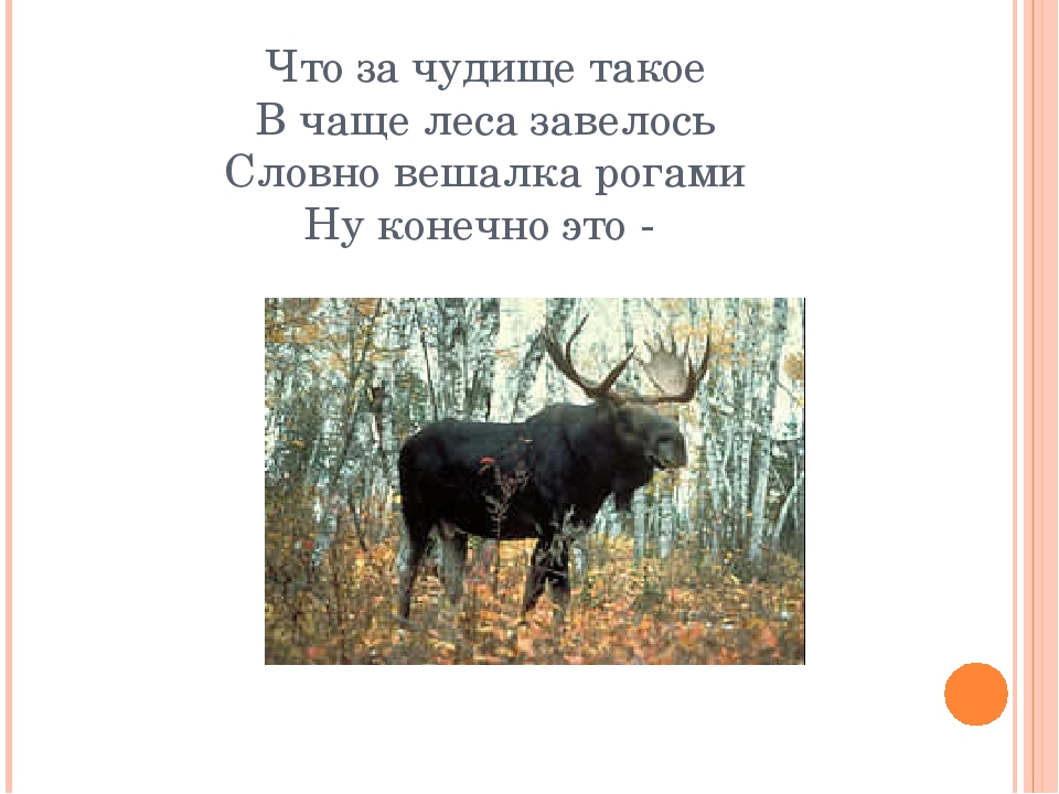 Презентация к игре "Кто это" на тему "Дикие животные"