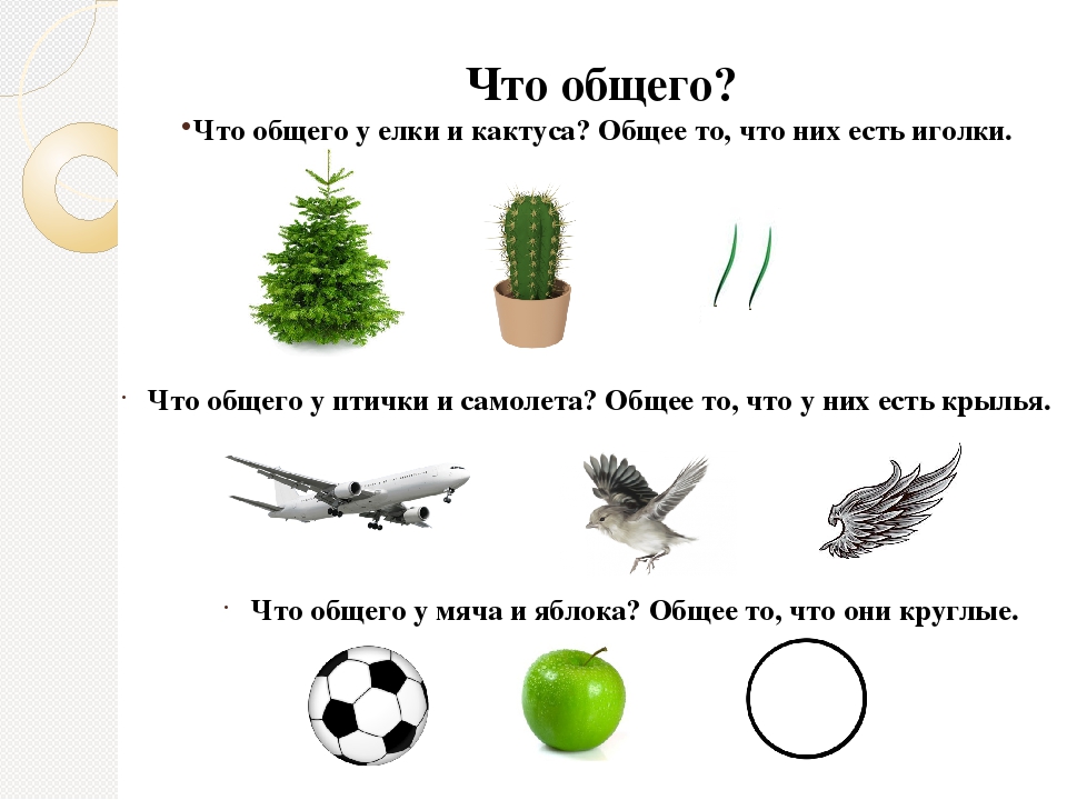 Что общего между цветами. Игра что общего между. Игра что общего между предметами. В общем. Что общего картинки.