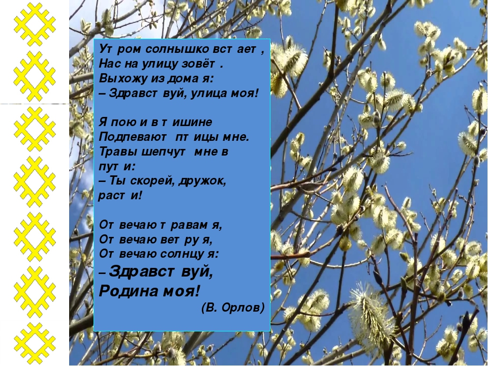 Проект "Люби свой Коми край"