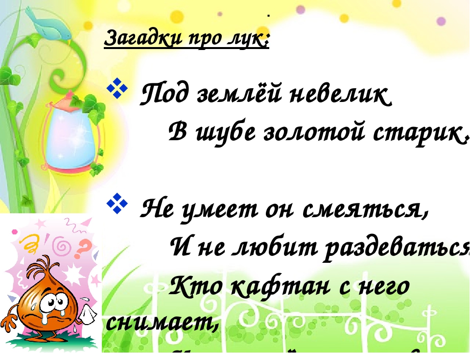 Презентация по познавательно-исследовательской деятельности "Выращиваем Чиполлинок" (вторая младшая группа)