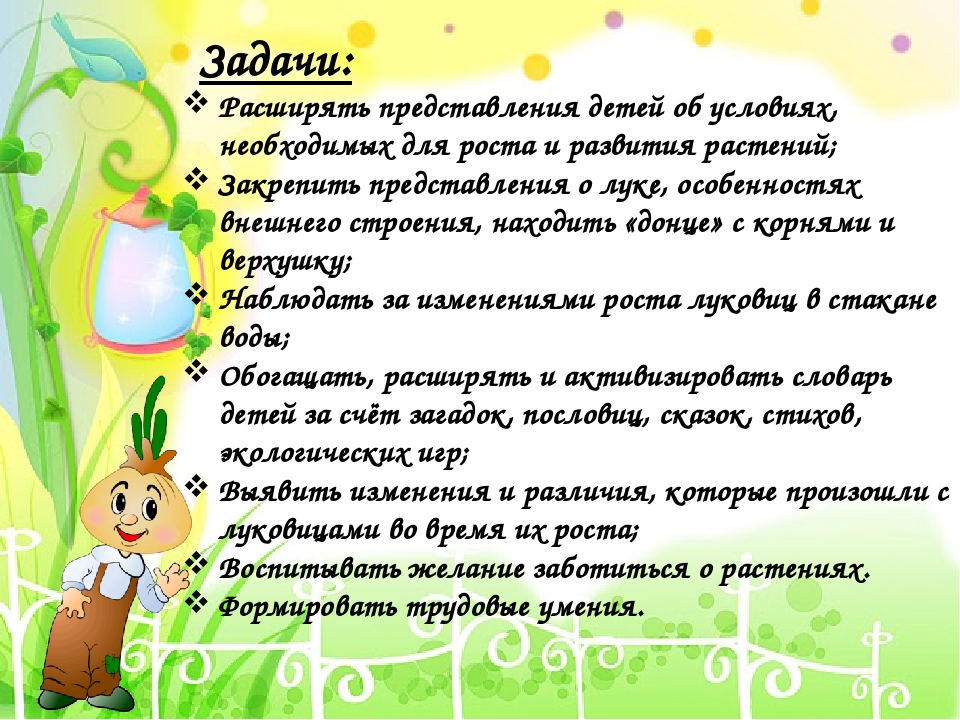 Презентация по социально-коммуникативному развитию дошкольников "Выращиваем Чиполлинок"